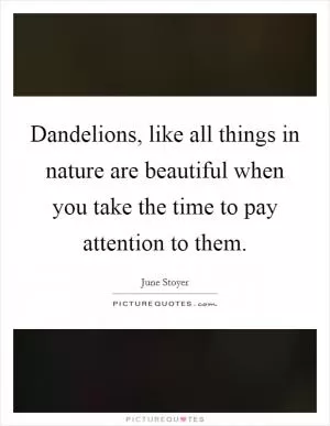 Dandelions, like all things in nature are beautiful when you take the time to pay attention to them Picture Quote #1