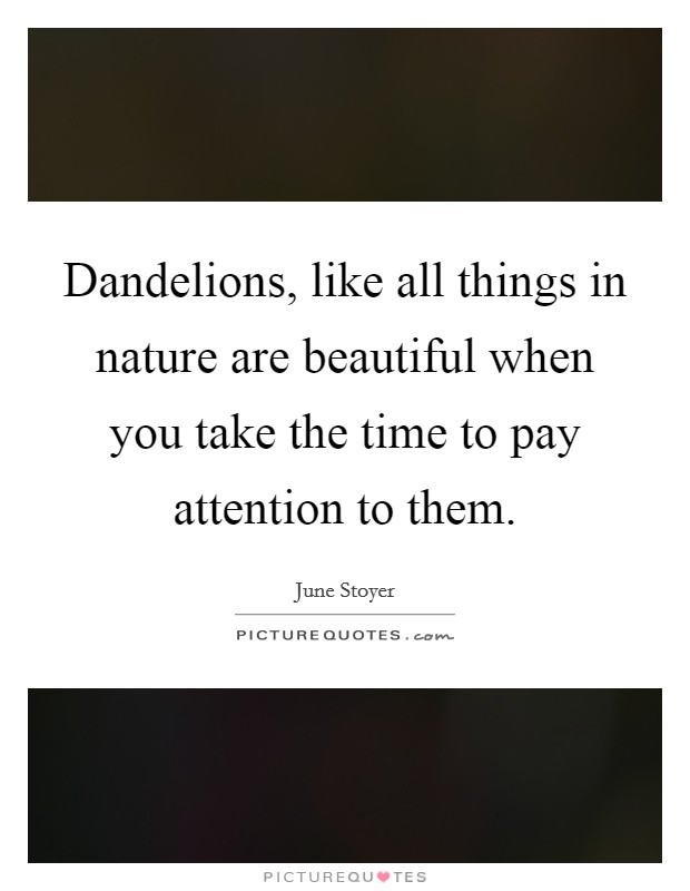 Dandelions, like all things in nature are beautiful when you take the time to pay attention to them. Picture Quote #1