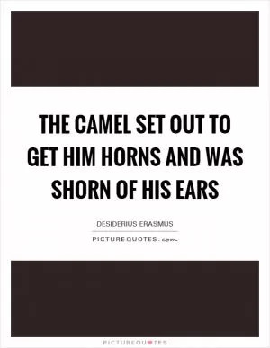 The camel set out to get him horns and was shorn of his ears Picture Quote #1