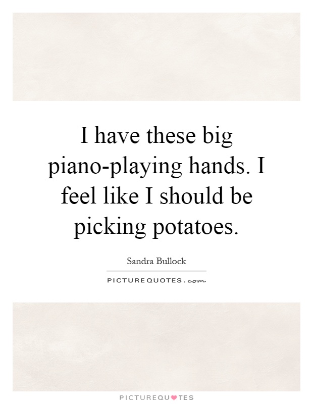 I have these big piano-playing hands. I feel like I should be picking potatoes Picture Quote #1