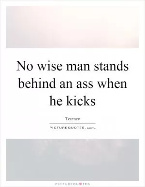 No wise man stands behind an ass when he kicks Picture Quote #1