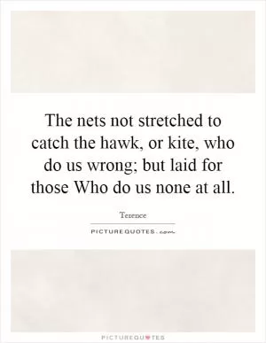 The nets not stretched to catch the hawk, or kite, who do us wrong; but laid for those Who do us none at all Picture Quote #1
