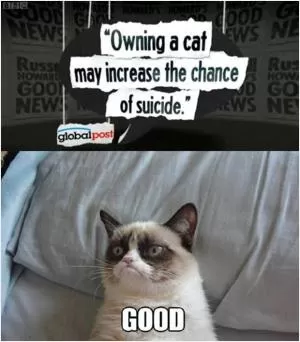 Owning a cat may increase the chance of suicide. Good Picture Quote #1