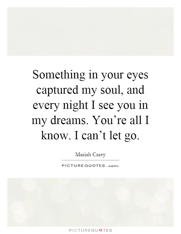 Something in your eyes captured my soul, and every night I see you in my dreams. You're all I know. I can't let go Picture Quote #1