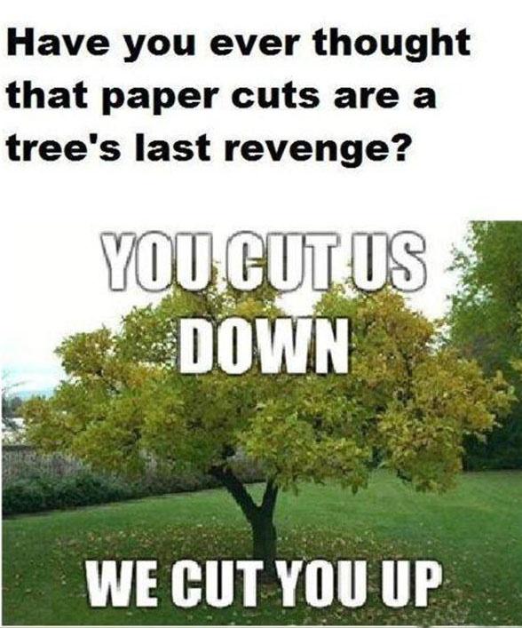 Have you ever thought that paper cuts are a tree's last revenge? You cut us down. We cut you up Picture Quote #1