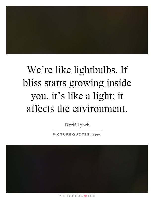 We're like lightbulbs. If bliss starts growing inside you, it's like a light; it affects the environment Picture Quote #1