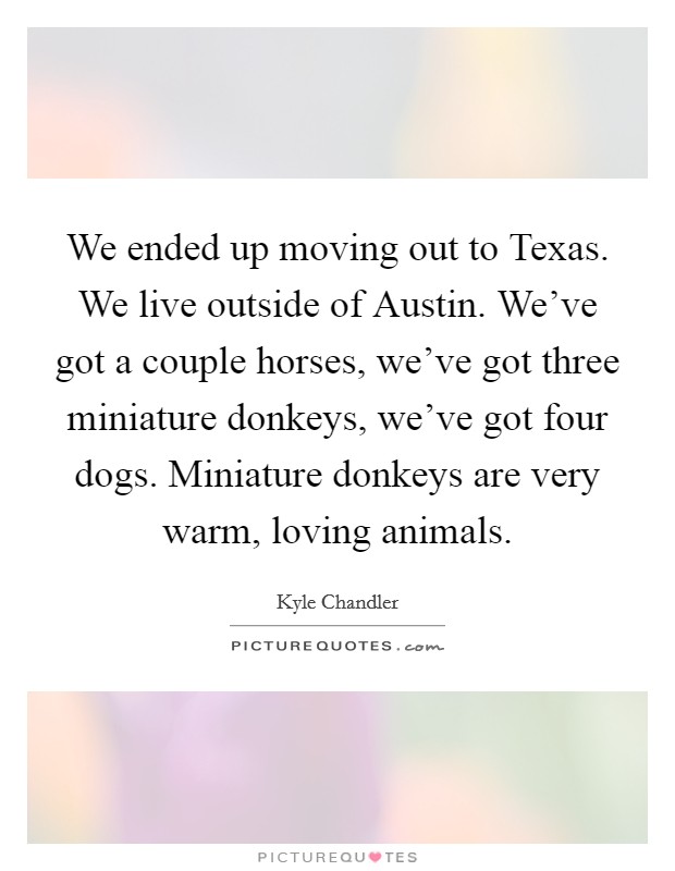 We ended up moving out to Texas. We live outside of Austin. We've got a couple horses, we've got three miniature donkeys, we've got four dogs. Miniature donkeys are very warm, loving animals. Picture Quote #1