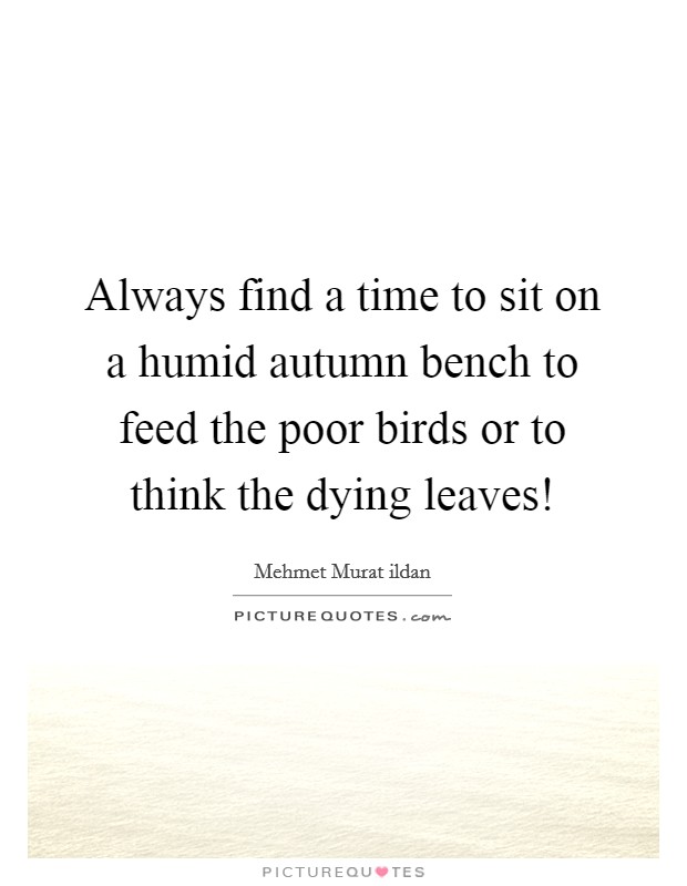 Always find a time to sit on a humid autumn bench to feed the poor birds or to think the dying leaves! Picture Quote #1
