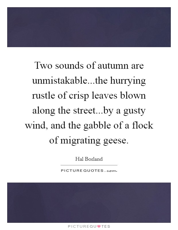 Two sounds of autumn are unmistakable...the hurrying rustle of crisp leaves blown along the street...by a gusty wind, and the gabble of a flock of migrating geese. Picture Quote #1