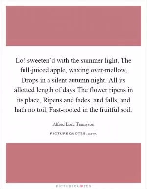Lo! sweeten’d with the summer light, The full-juiced apple, waxing over-mellow, Drops in a silent autumn night. All its allotted length of days The flower ripens in its place, Ripens and fades, and falls, and hath no toil, Fast-rooted in the fruitful soil Picture Quote #1