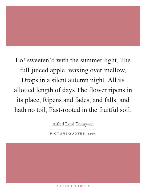 Lo! sweeten'd with the summer light, The full-juiced apple, waxing over-mellow, Drops in a silent autumn night. All its allotted length of days The flower ripens in its place, Ripens and fades, and falls, and hath no toil, Fast-rooted in the fruitful soil. Picture Quote #1