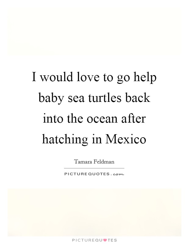 I would love to go help baby sea turtles back into the ocean after hatching in Mexico Picture Quote #1
