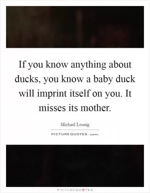 If you know anything about ducks, you know a baby duck will imprint itself on you. It misses its mother Picture Quote #1