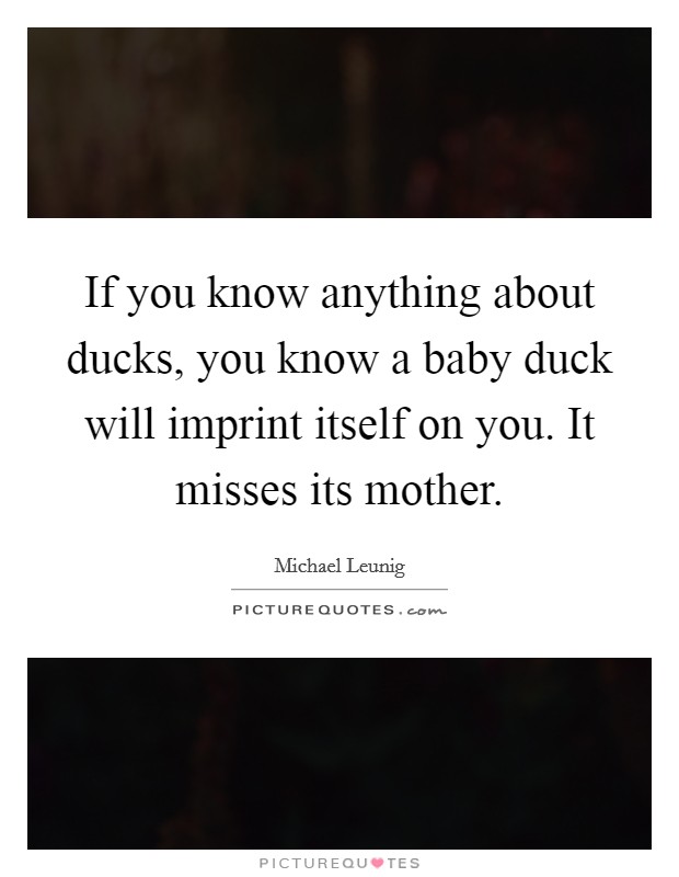 If you know anything about ducks, you know a baby duck will imprint itself on you. It misses its mother. Picture Quote #1