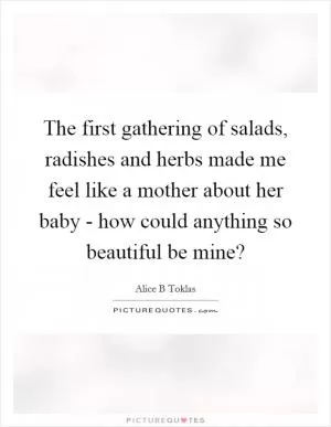The first gathering of salads, radishes and herbs made me feel like a mother about her baby - how could anything so beautiful be mine? Picture Quote #1