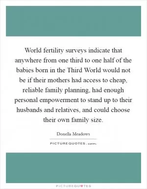 World fertility surveys indicate that anywhere from one third to one half of the babies born in the Third World would not be if their mothers had access to cheap, reliable family planning, had enough personal empowerment to stand up to their husbands and relatives, and could choose their own family size Picture Quote #1