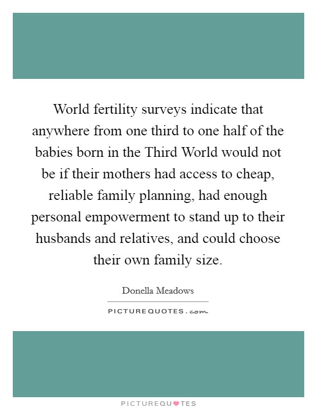 World fertility surveys indicate that anywhere from one third to one half of the babies born in the Third World would not be if their mothers had access to cheap, reliable family planning, had enough personal empowerment to stand up to their husbands and relatives, and could choose their own family size. Picture Quote #1