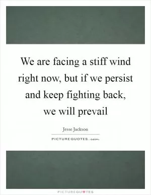We are facing a stiff wind right now, but if we persist and keep fighting back, we will prevail Picture Quote #1