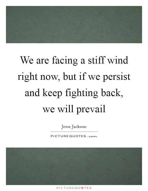 We are facing a stiff wind right now, but if we persist and keep fighting back, we will prevail Picture Quote #1