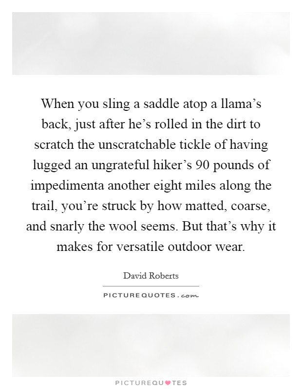 When you sling a saddle atop a llama's back, just after he's rolled in the dirt to scratch the unscratchable tickle of having lugged an ungrateful hiker's 90 pounds of impedimenta another eight miles along the trail, you're struck by how matted, coarse, and snarly the wool seems. But that's why it makes for versatile outdoor wear. Picture Quote #1