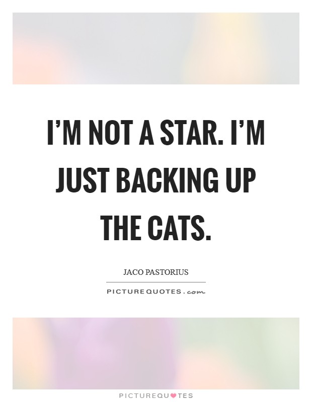 I'm not a star. I'm just backing up the cats. Picture Quote #1