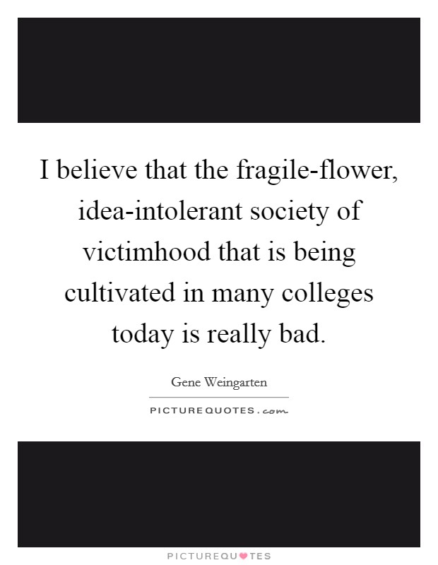 I believe that the fragile-flower, idea-intolerant society of victimhood that is being cultivated in many colleges today is really bad. Picture Quote #1