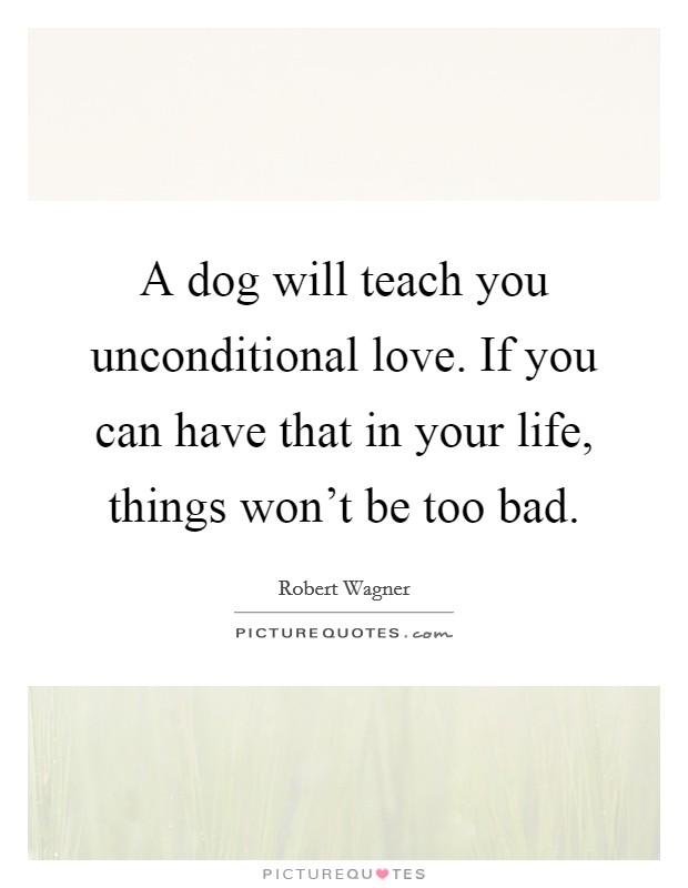 A dog will teach you unconditional love. If you can have that in your life, things won't be too bad. Picture Quote #1