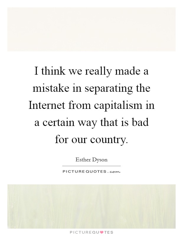 I think we really made a mistake in separating the Internet from capitalism in a certain way that is bad for our country. Picture Quote #1