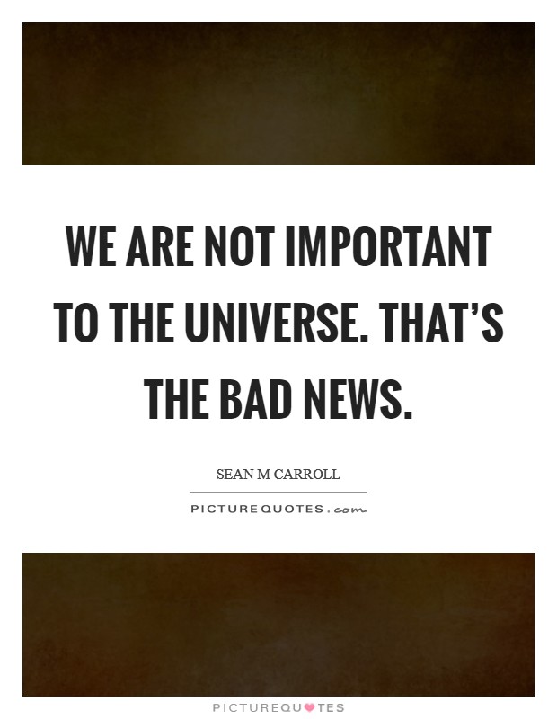 We are not important to the universe. That's the bad news. Picture Quote #1