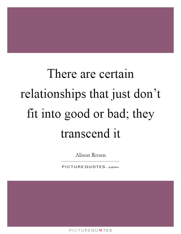 There are certain relationships that just don't fit into good or bad; they transcend it Picture Quote #1