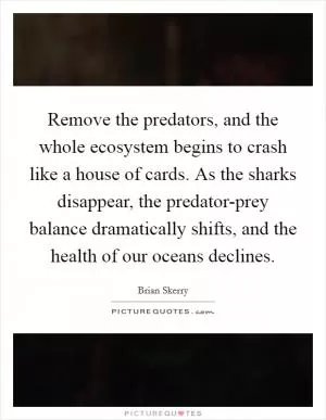 Remove the predators, and the whole ecosystem begins to crash like a house of cards. As the sharks disappear, the predator-prey balance dramatically shifts, and the health of our oceans declines Picture Quote #1