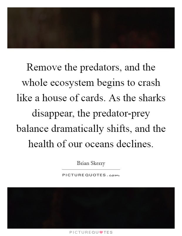Remove the predators, and the whole ecosystem begins to crash like a house of cards. As the sharks disappear, the predator-prey balance dramatically shifts, and the health of our oceans declines. Picture Quote #1