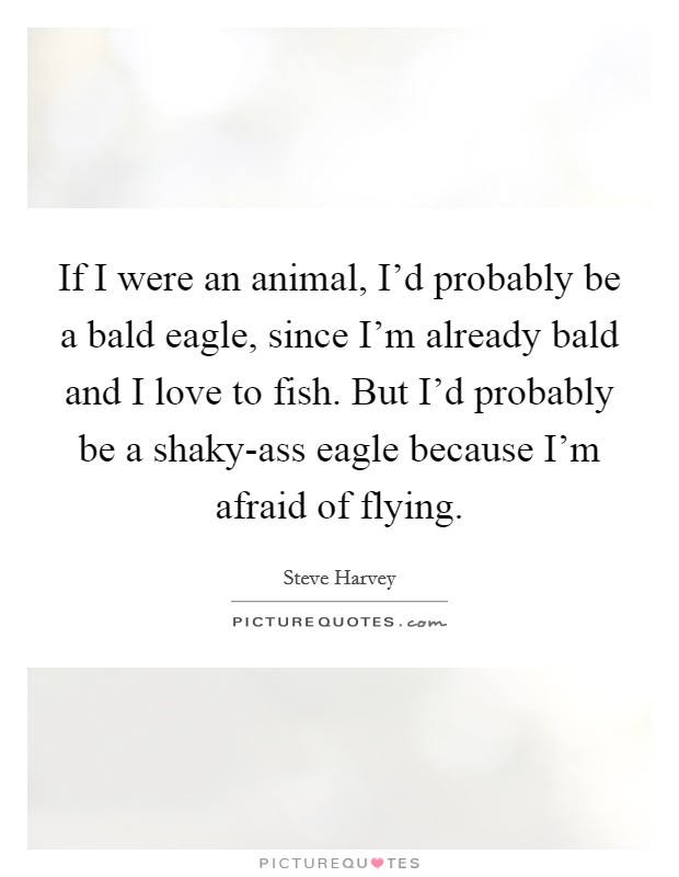 If I were an animal, I'd probably be a bald eagle, since I'm already bald and I love to fish. But I'd probably be a shaky-ass eagle because I'm afraid of flying. Picture Quote #1