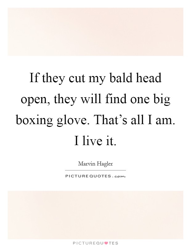 If they cut my bald head open, they will find one big boxing glove. That's all I am. I live it. Picture Quote #1