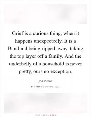 Grief is a curious thing, when it happens unexpectedly. It is a Band-aid being ripped away, taking the top layer off a family. And the underbelly of a household is never pretty, ours no exception Picture Quote #1
