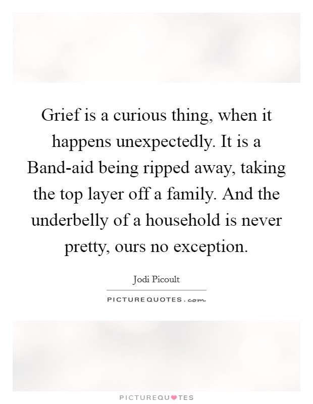 Grief is a curious thing, when it happens unexpectedly. It is a Band-aid being ripped away, taking the top layer off a family. And the underbelly of a household is never pretty, ours no exception. Picture Quote #1