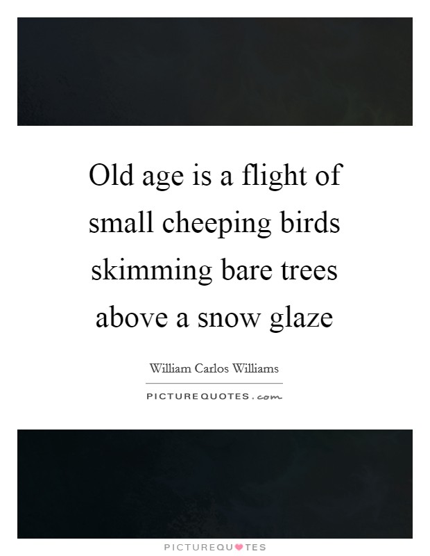 Old age is a flight of small cheeping birds skimming bare trees above a snow glaze Picture Quote #1