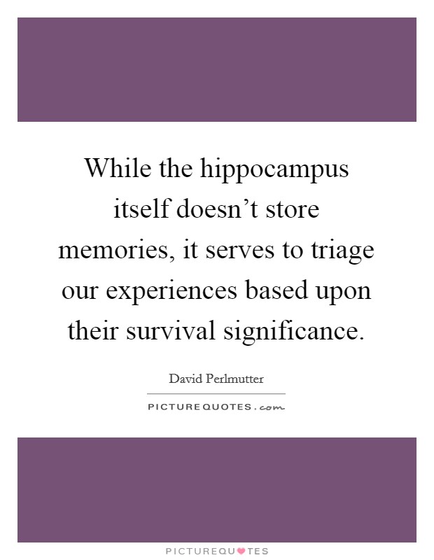 While the hippocampus itself doesn't store memories, it serves to triage our experiences based upon their survival significance. Picture Quote #1