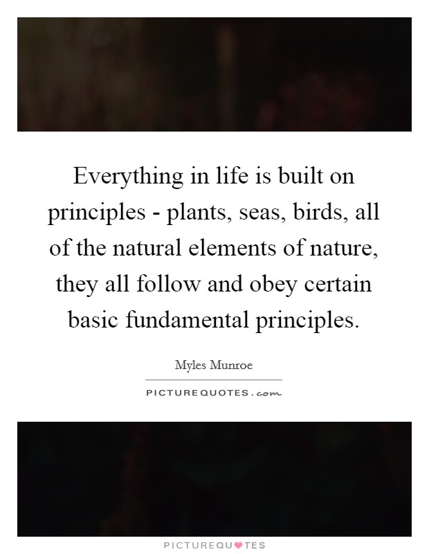Everything in life is built on principles - plants, seas, birds, all of the natural elements of nature, they all follow and obey certain basic fundamental principles. Picture Quote #1