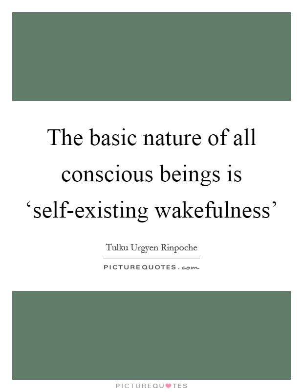 The basic nature of all conscious beings is ‘self-existing wakefulness' Picture Quote #1