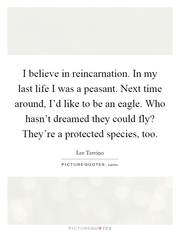 I believe in reincarnation. In my last life I was a peasant. Next time around, I'd like to be an eagle. Who hasn't dreamed they could fly? They're a protected species, too. Picture Quote #1