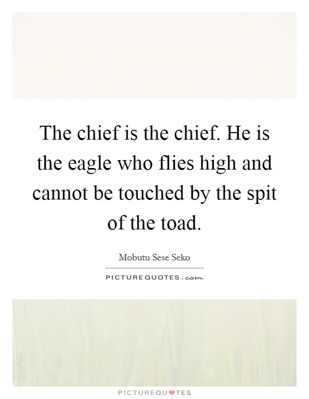 The chief is the chief. He is the eagle who flies high and cannot be touched by the spit of the toad. Picture Quote #1
