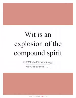Wit is an explosion of the compound spirit Picture Quote #1