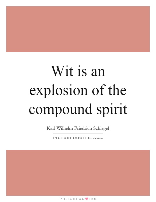 Wit is an explosion of the compound spirit Picture Quote #1