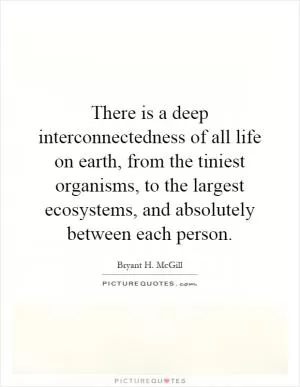 There is a deep interconnectedness of all life on earth, from the tiniest organisms, to the largest ecosystems, and absolutely between each person Picture Quote #1