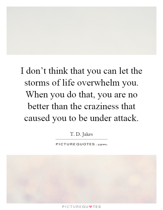 I don't think that you can let the storms of life overwhelm you. When you do that, you are no better than the craziness that caused you to be under attack Picture Quote #1