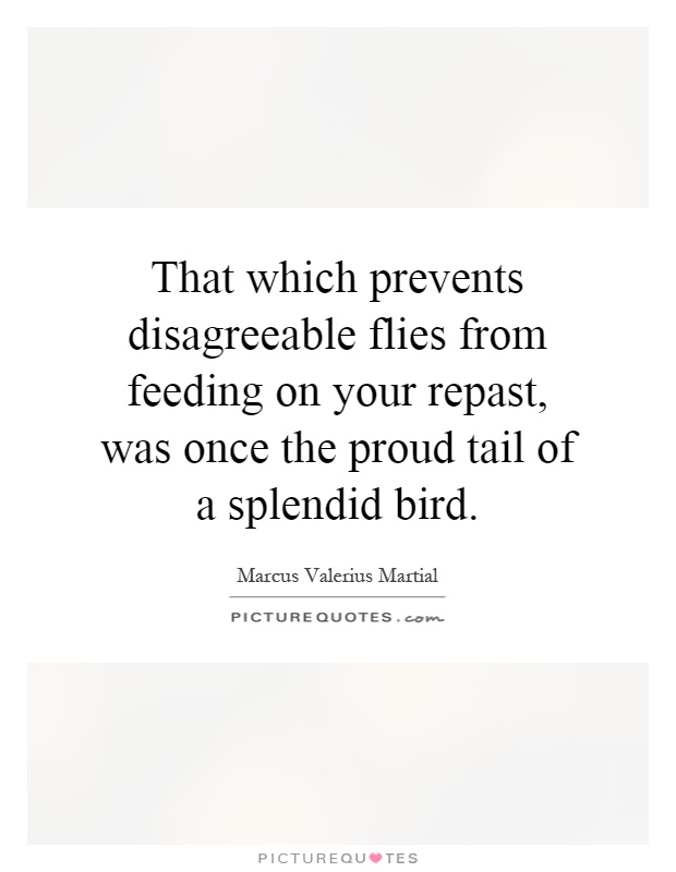 That which prevents disagreeable flies from feeding on your repast, was once the proud tail of a splendid bird Picture Quote #1