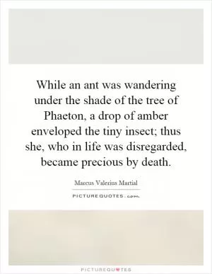 While an ant was wandering under the shade of the tree of Phaeton, a drop of amber enveloped the tiny insect; thus she, who in life was disregarded, became precious by death Picture Quote #1