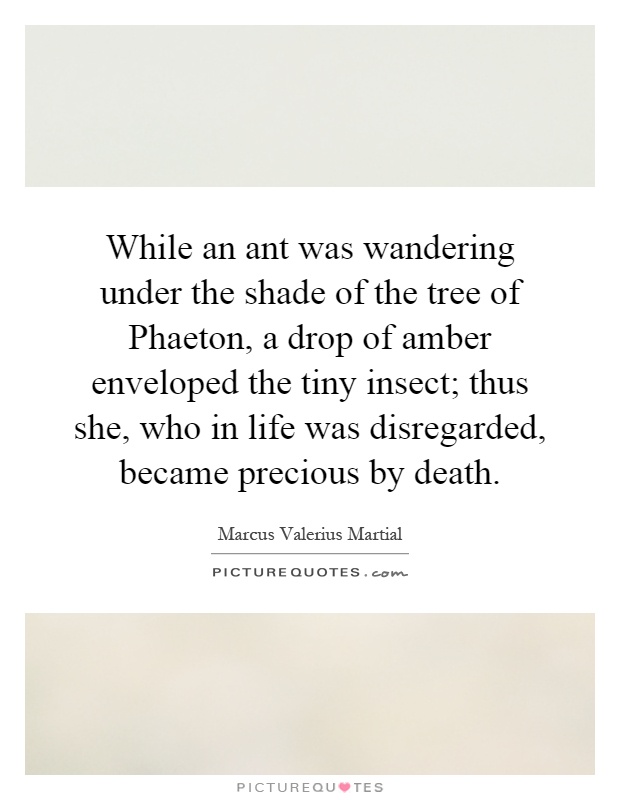 While an ant was wandering under the shade of the tree of Phaeton, a drop of amber enveloped the tiny insect; thus she, who in life was disregarded, became precious by death Picture Quote #1
