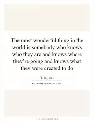 The most wonderful thing in the world is somebody who knows who they are and knows where they’re going and knows what they were created to do Picture Quote #1